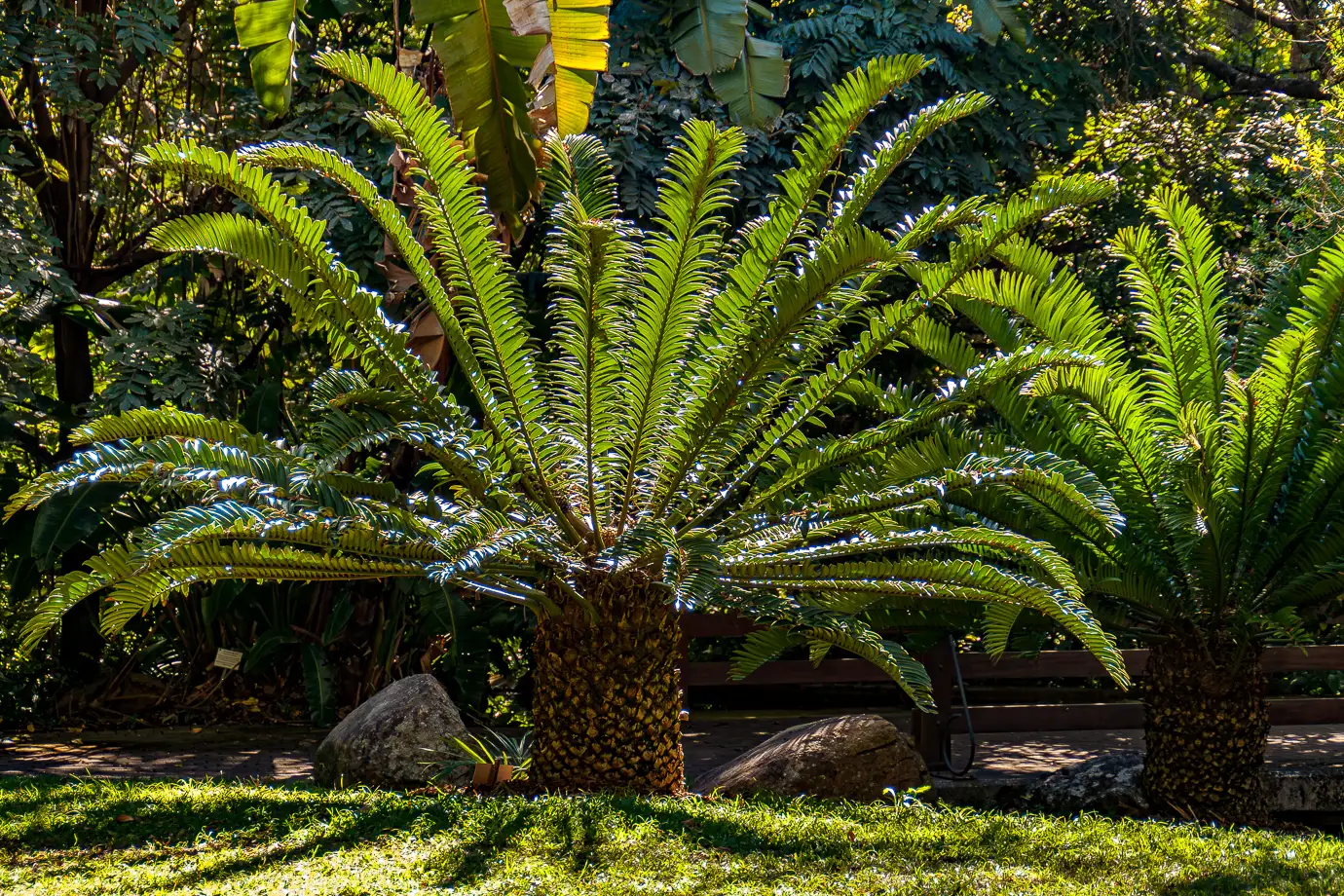 Lowveld National Botanical Garden