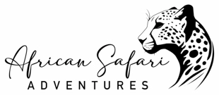 African Safari Adventures