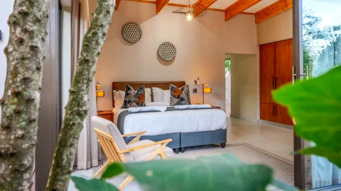 Bushbaby Valley Lodge