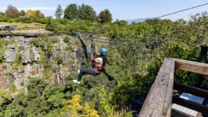 Graskop Gorge Lift Company