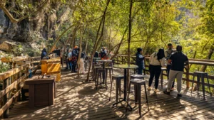 Graskop Gorge Lift Company