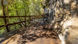 Graskop Gorge Lift Company