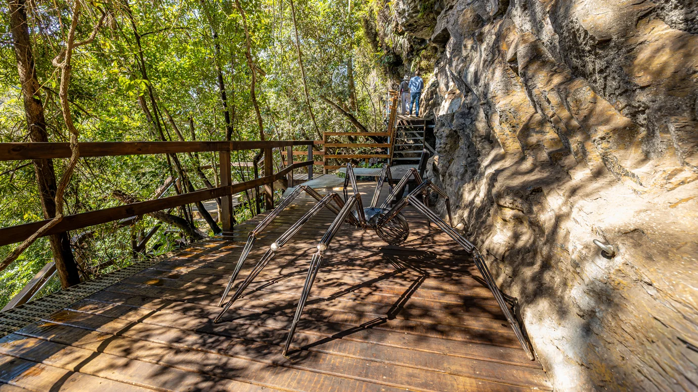 Graskop Gorge Lift Company