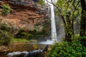 Lone Creek Falls