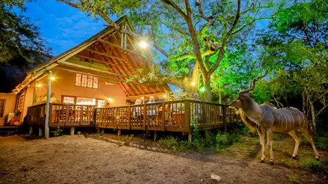 Needles Safari Lodge