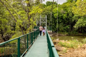 Lowveld National Botanical Garden