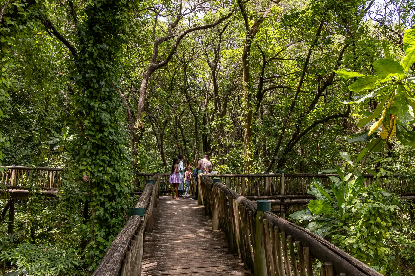 Lowveld National Botanical Garden