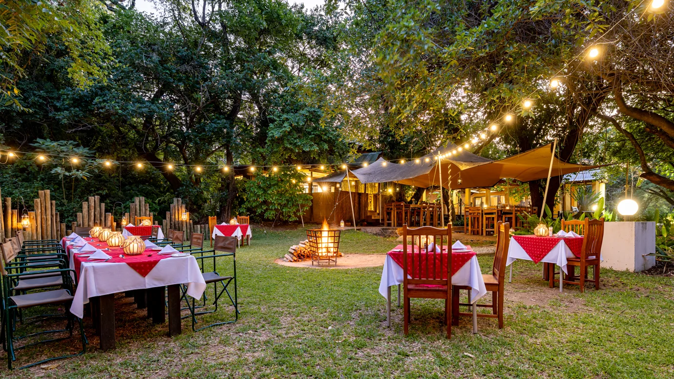 Gecko Lodge