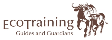 EcoTraining
