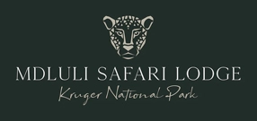 Mdluli Safari Lodge