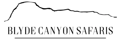 Blyde Canyon Safaris