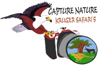 Capture Nature Kruger Safaris