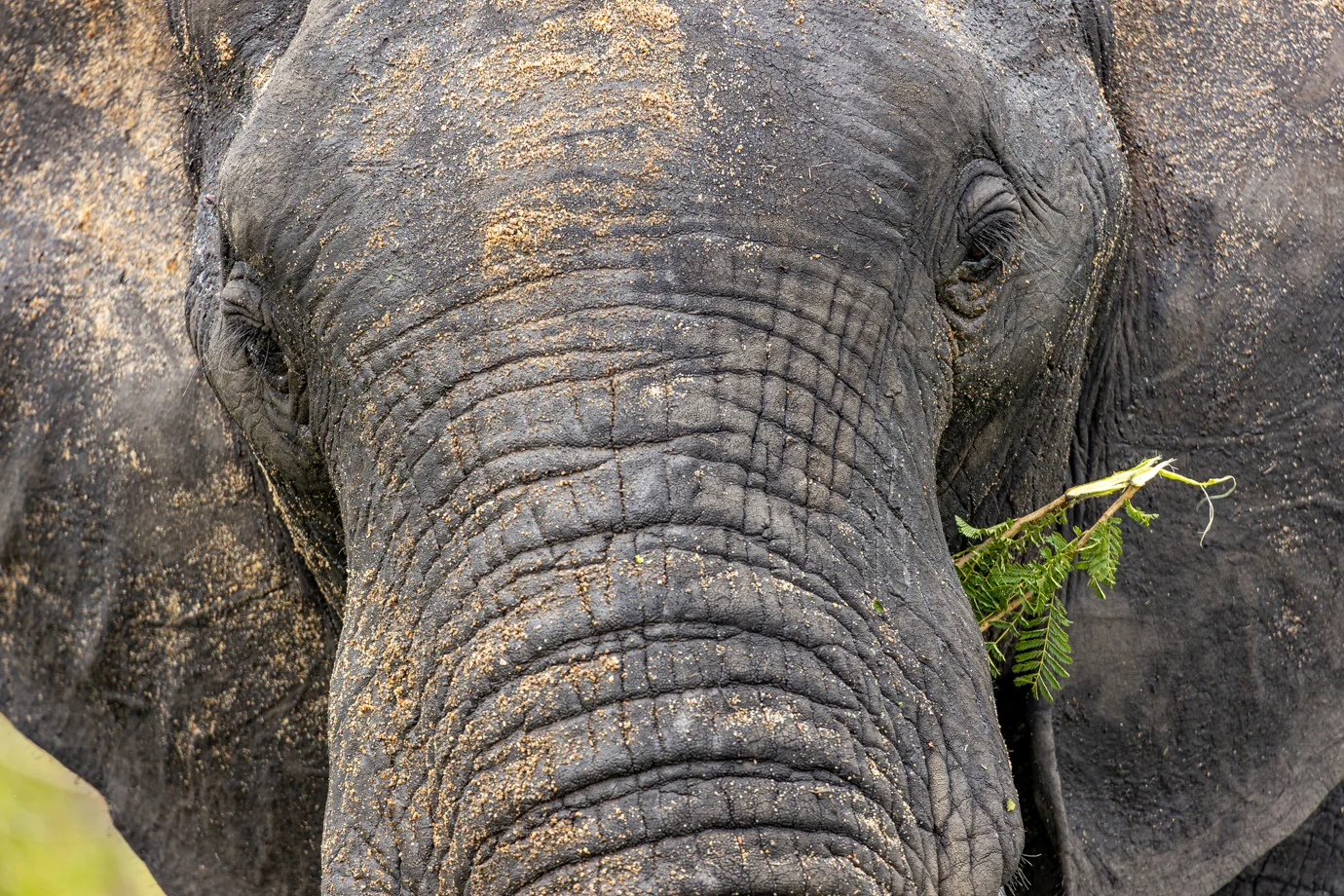 Kruger National Park