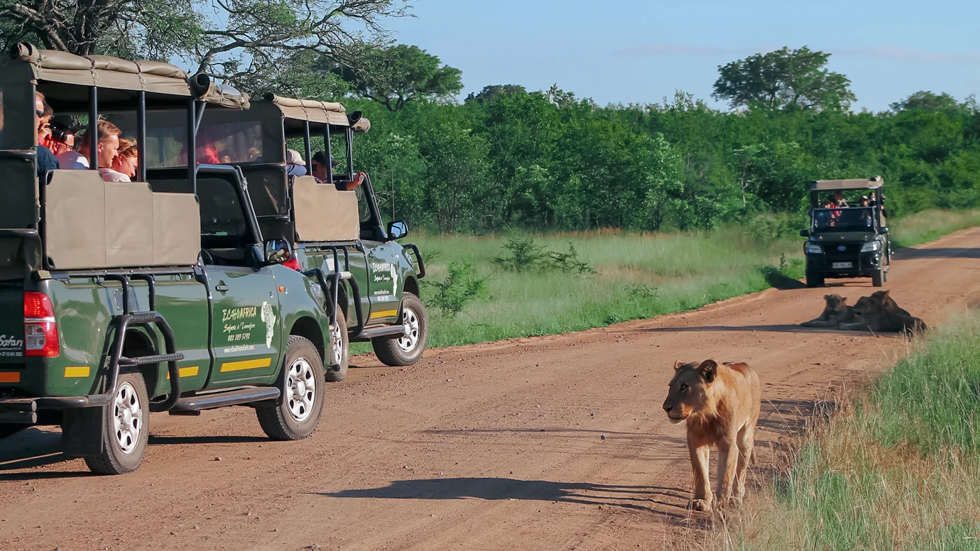 Echo Africa Safaris & Transfers