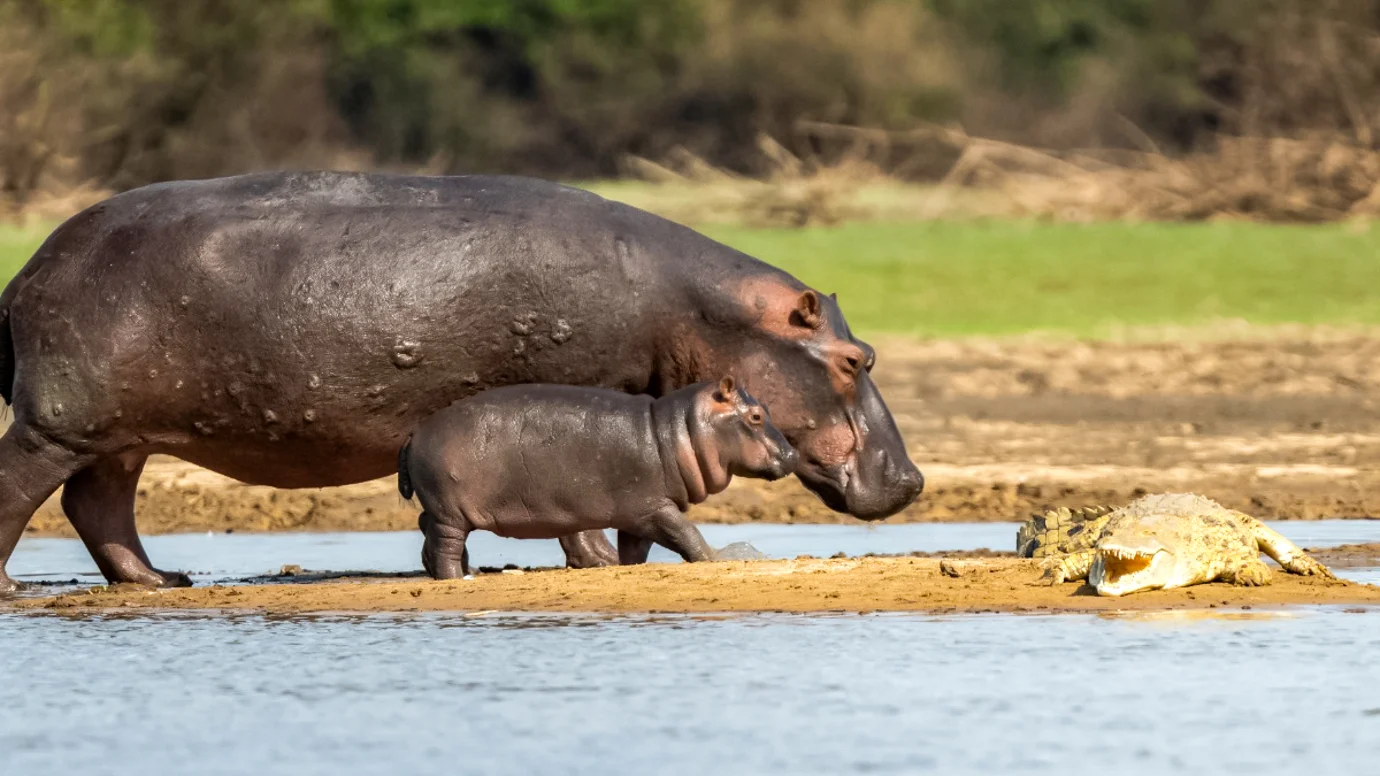 GAP Tours & Transfers