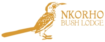 Nkorho Bush Lodge