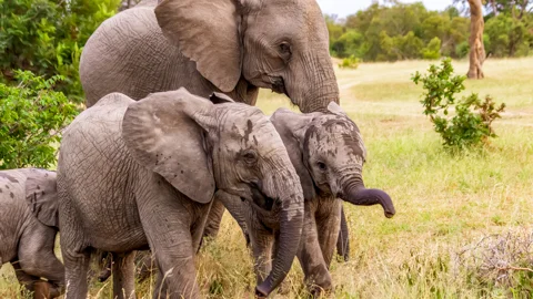 Ntwanano Tours & Travel