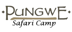Pungwe Safari Camp
