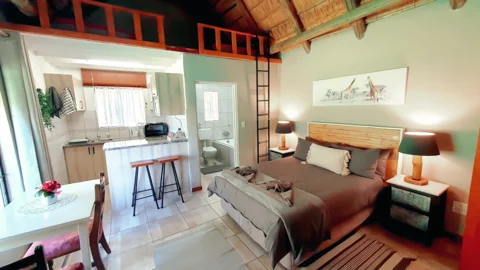 Wild Forest Inn
