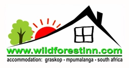 Wild Forest Inn