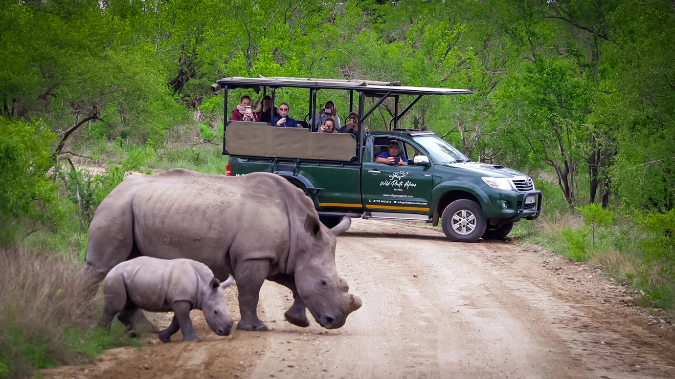 Wild Photo Africa Safaris