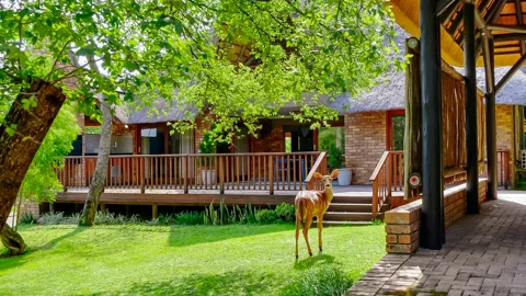 Pangane M Properties