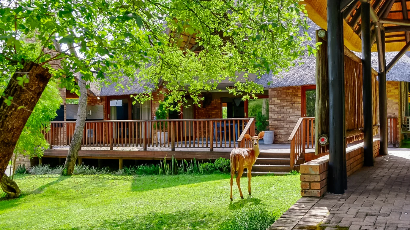 Pangane M Properties