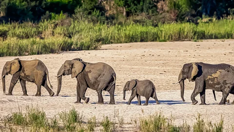 Kruger Safari & Tourism Association